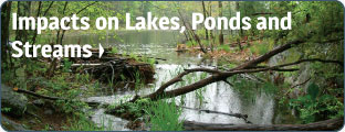 Impacts on Lakes, Ponds and Streams